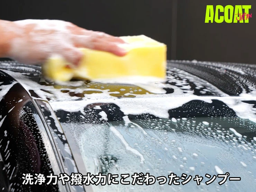 超撥水コーティングシャンプー（50倍希釈）