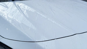 超滑水コーティングシャンプー（50倍希釈）